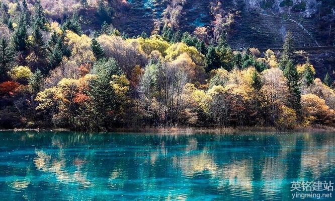 湘潭網站制作費用如何控制？（湘潭網站制作費用的5個控制方法）